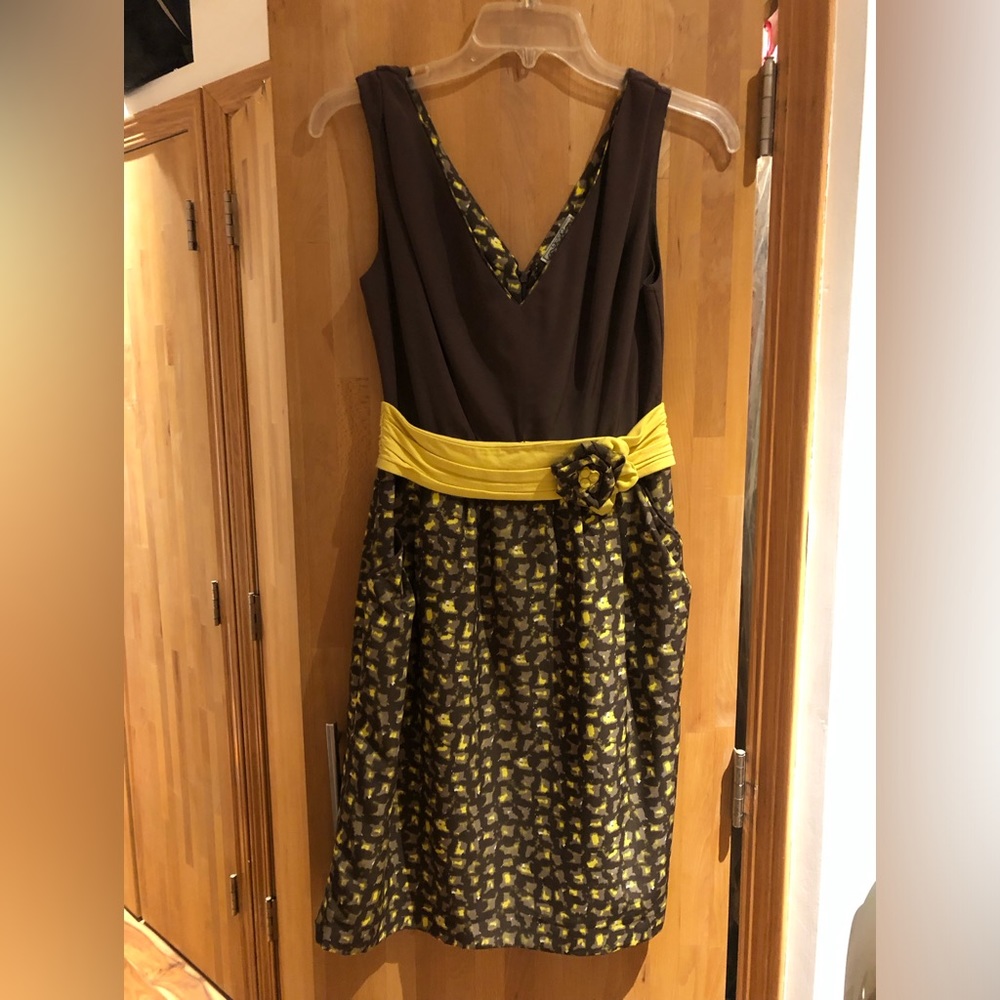 2008 Anthropologie Baraschi dress with pockets